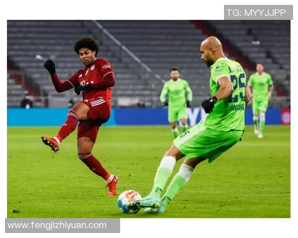 足球明星布朗尼的职业生涯与成就揭秘及其对足球的影响分析